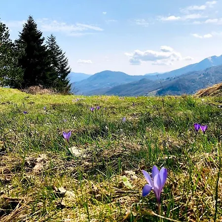 Πανσιόν Colle Del Faggio Nature *