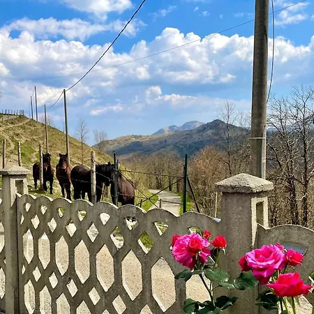 Guest house Colle Del Faggio Nature