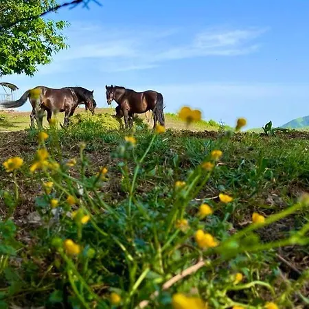Colle Del Faggio Nature