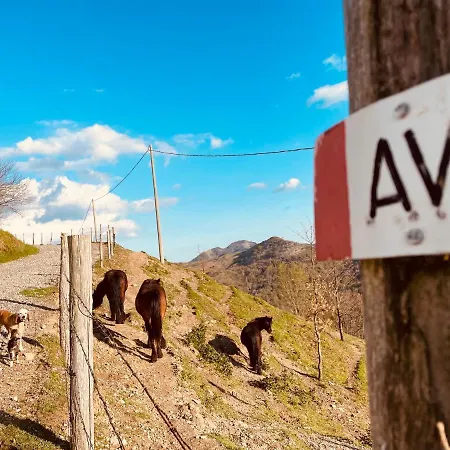 Colle Del Faggio Nature *