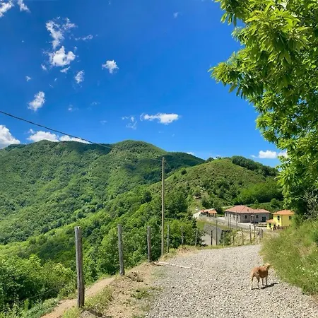 Colle Del Faggio Nature Cassego-Villa